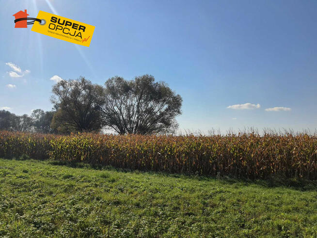 Działka rolna Kraków gm. Kraków-Nowa Huta Wyciąże,