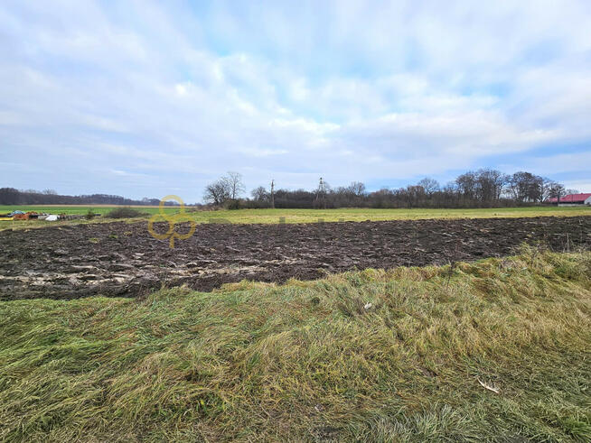 Działka inwestycyjna Małachowo gm. Dolsk,