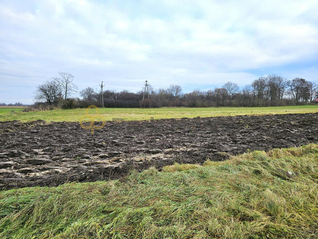 Działka inwestycyjna Małachowo gm. Dolsk,