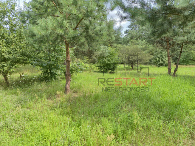 Działka rolna Piotrkowice gm. Żabia Wola,