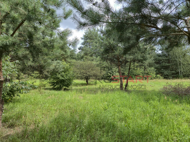 Działka rolna Piotrkowice gm. Żabia Wola,