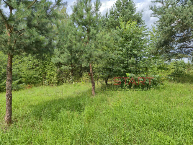 Działka rolna Piotrkowice gm. Żabia Wola,