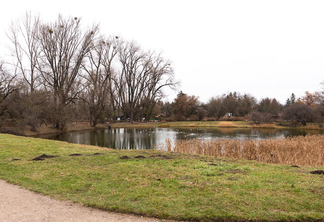 Trzypokojowe mieszkanie w świetnej lokalizacji