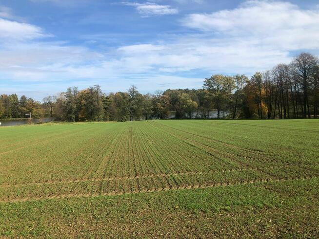 3 działki budowlane – Stara Wieś k. Wilamowic – 140 zł/m²