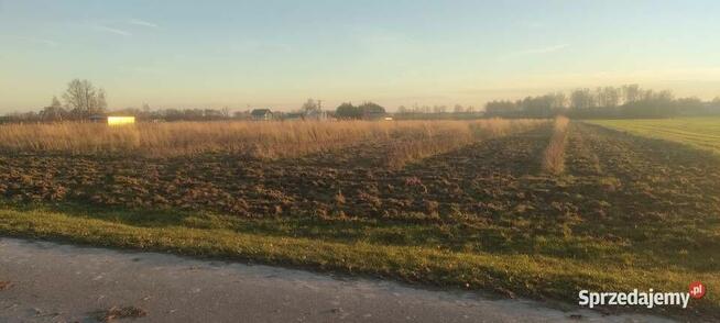 MPZP Niwki ladna lokalizacja przy drodze asfaltowej