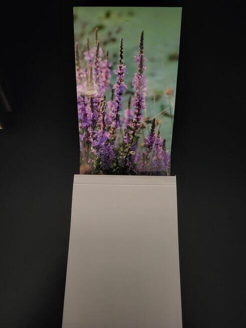 Katolicki Kalendarz 2026 z rozważaniami. Dobry Zasiew