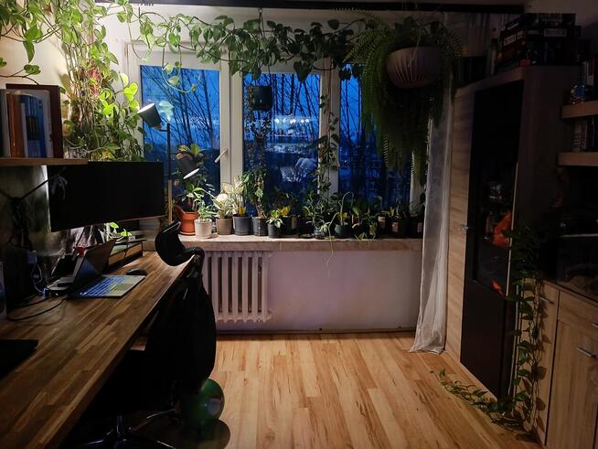 Krowodrza, 2 pokoje, do zamieszkania