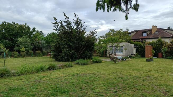 Ogródek działkowy Leszno ROD ul Spółdzielcza