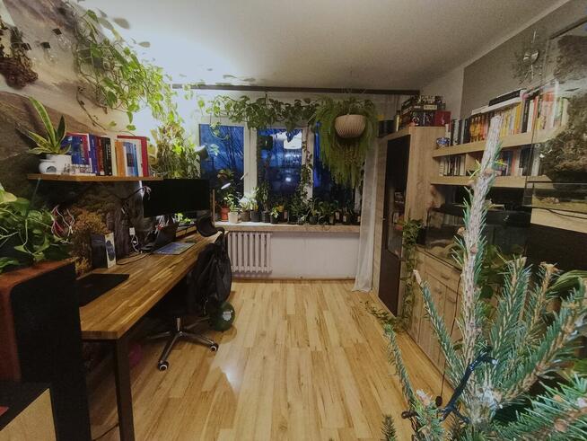 Krowodrza, 2 pokoje, do zamieszkania