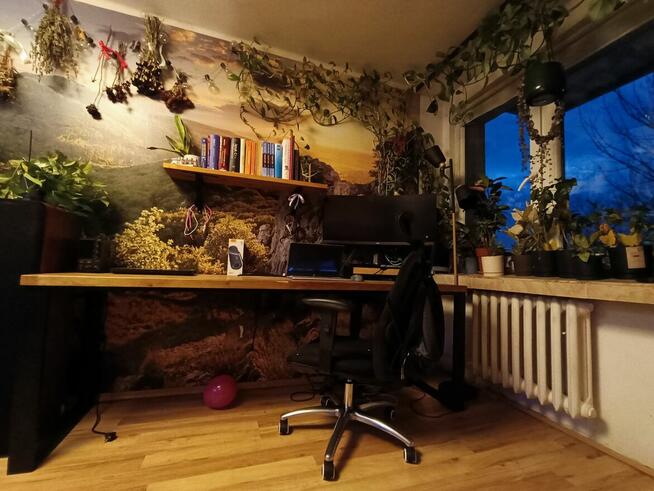 Krowodrza, 2 pokoje, do zamieszkania