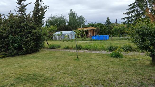 Ogródek działkowy Leszno ROD ul Spółdzielcza