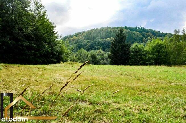 14014m2, w spokojnej części Sosnówki, widok na las