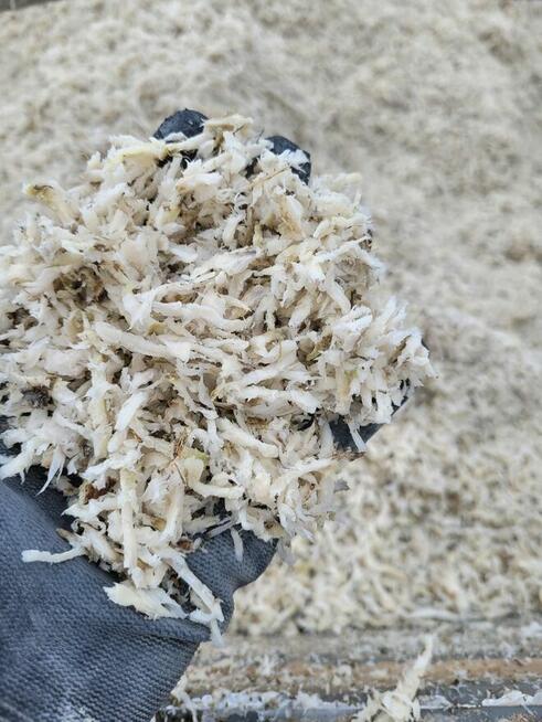 Wysłodki Buraczane luzem