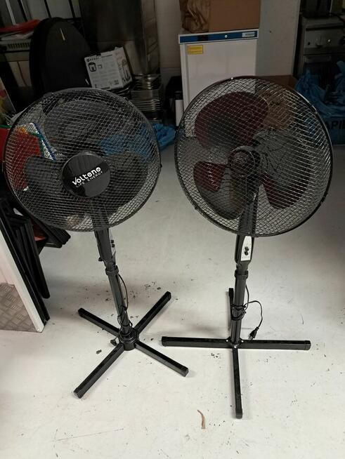 Syndyk sprzeda Udział w Ruchomościach po prowadzonej działal