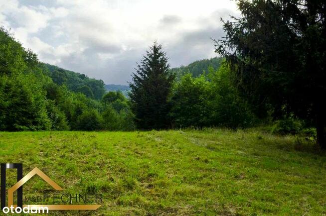 14014m2, w spokojnej części Sosnówki, widok na las