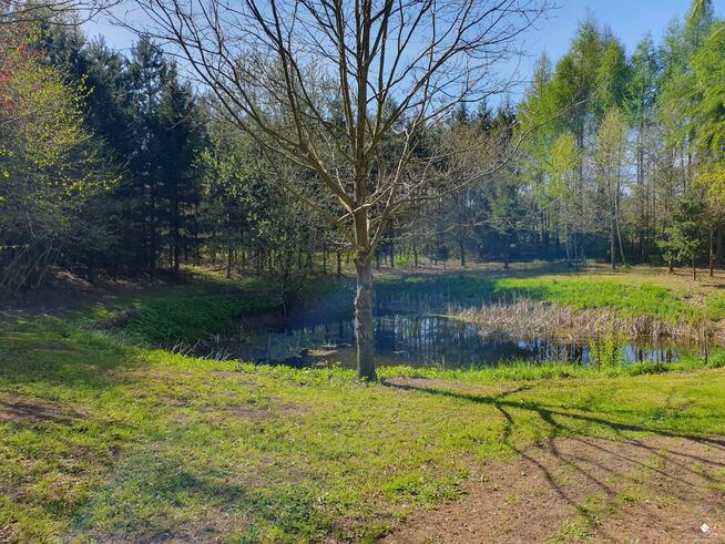 Dom Nowe Bagienice gm. Mrągowo