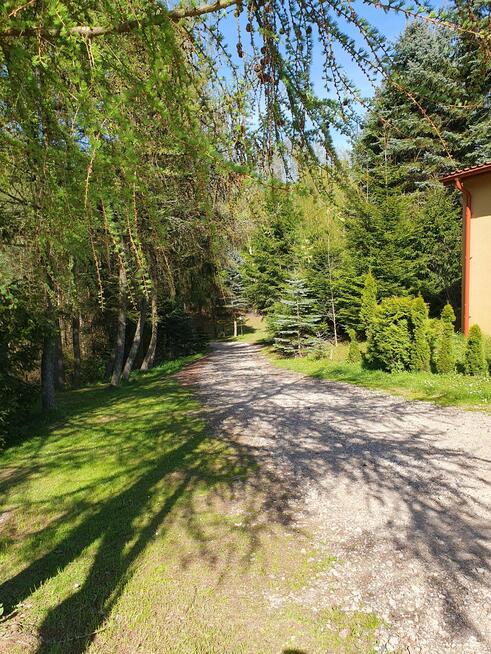 Dom Nowe Bagienice gm. Mrągowo