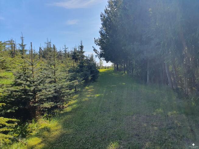 Dom Nowe Bagienice gm. Mrągowo