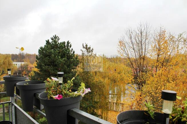 Mieszkanie Bytom Miechowice, Reptowska