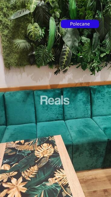 Kompletny koncept gastronomiczny-włoska pizzeria