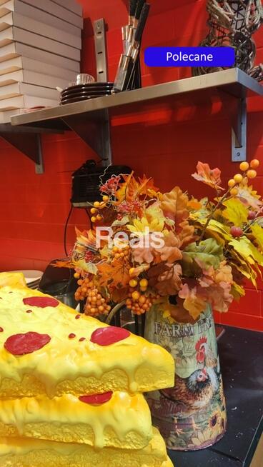 Kompletny koncept gastronomiczny-włoska pizzeria