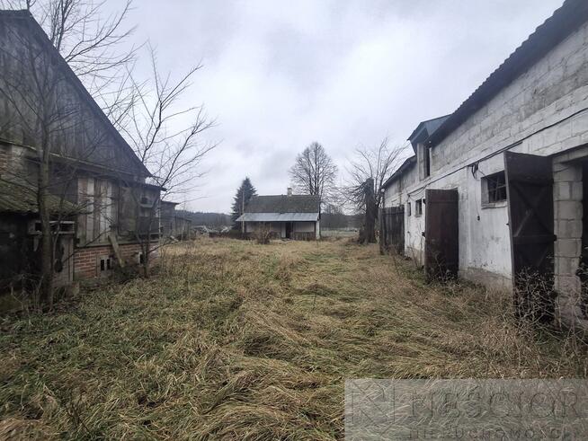 5,3 ha pod agroturystykę lub stadninę