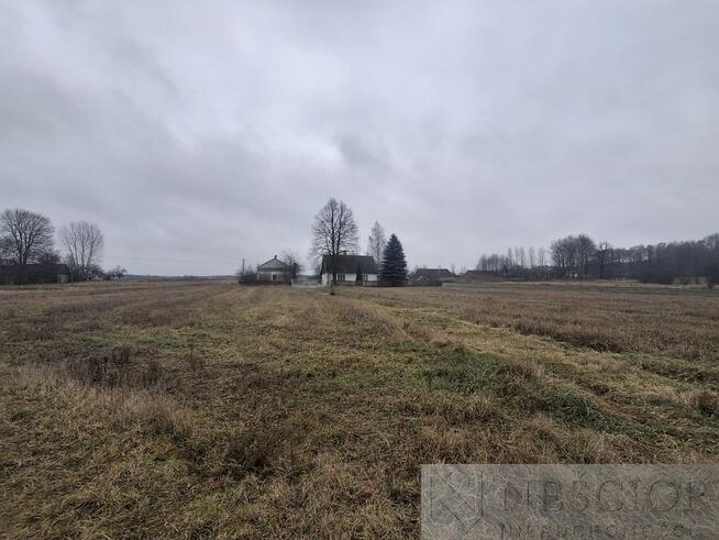 5,3 ha pod agroturystykę lub stadninę