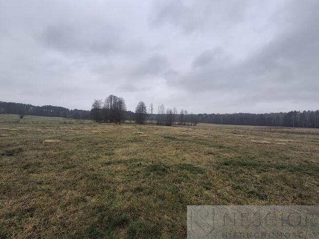 5,3 ha pod agroturystykę lub stadninę