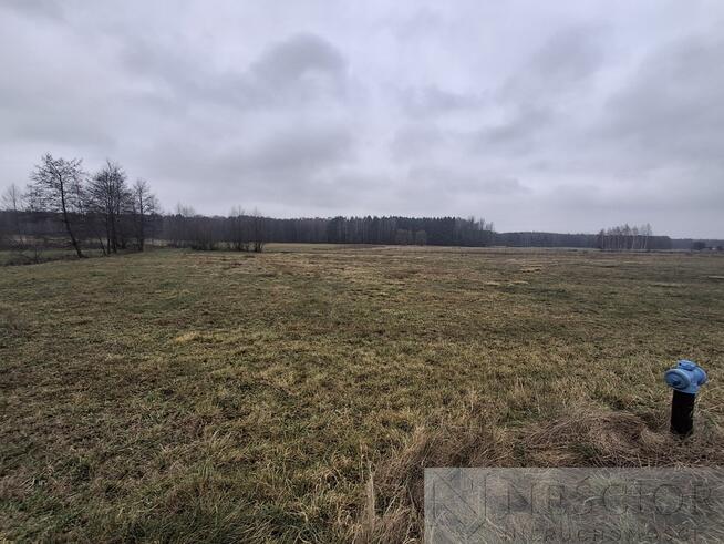 5,3 ha pod agroturystykę lub stadninę