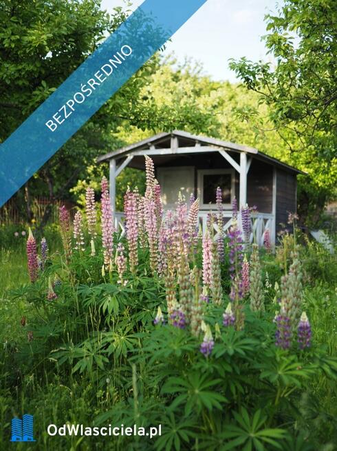 Sprzedam działkę ROD Ursynów