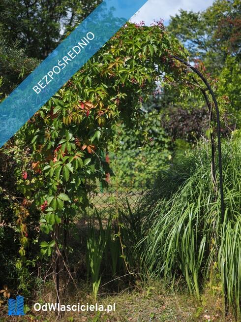 Sprzedam działkę ROD Ursynów