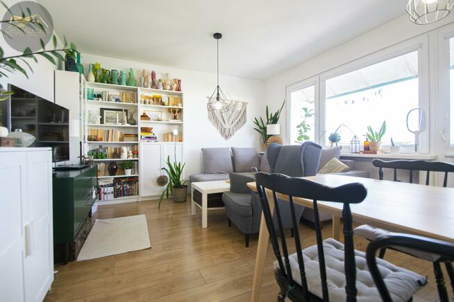 Mieszkanie Świdnica