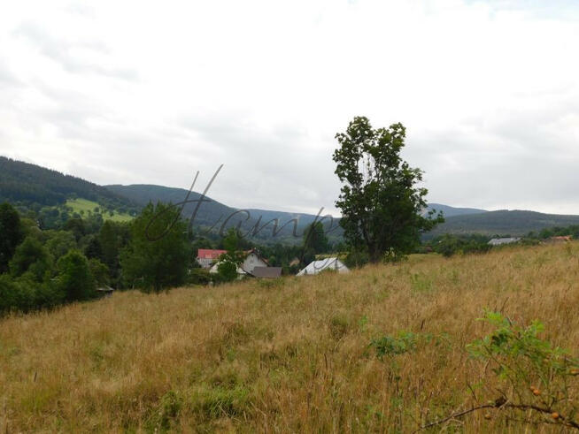 Działka inwestycyjna Stronie Śląskie,