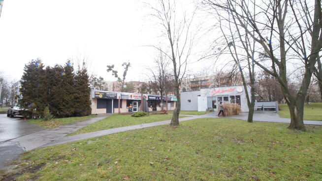 wynajem lokal użytkowy parter 56 m2. Opole ZWM