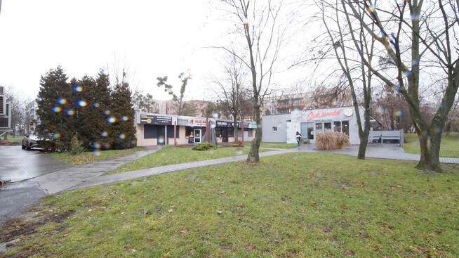 wynajem lokal użytkowy parter 56 m2. Opole ZWM
