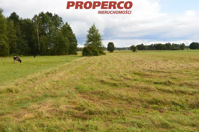 Działka Antonielów gm. Łopuszno