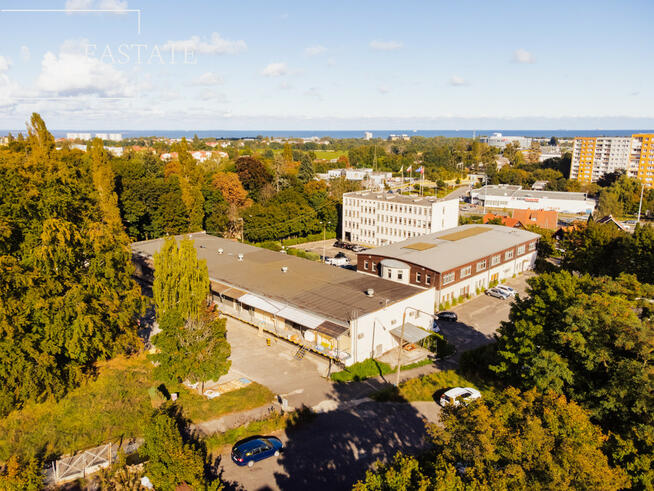 Lokal użytkowy Sopot, Aleja Niepodległości