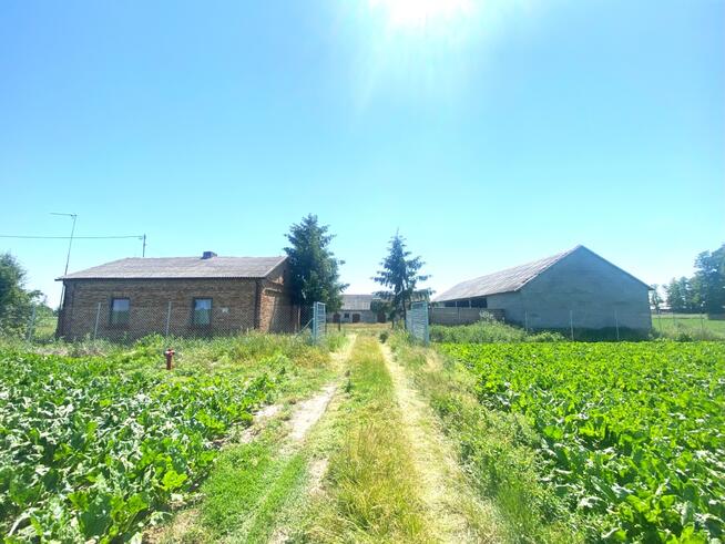 Siedlisko Nowe Sarnowo gmina Dzierzążnia