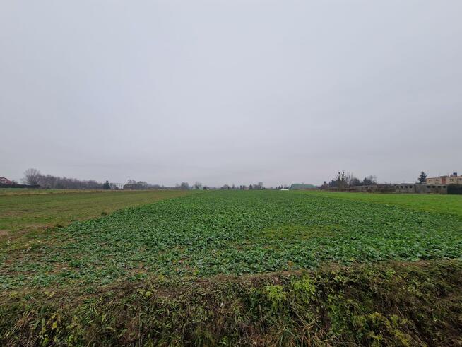 Działka budowlana Ślesin, Cegielniana