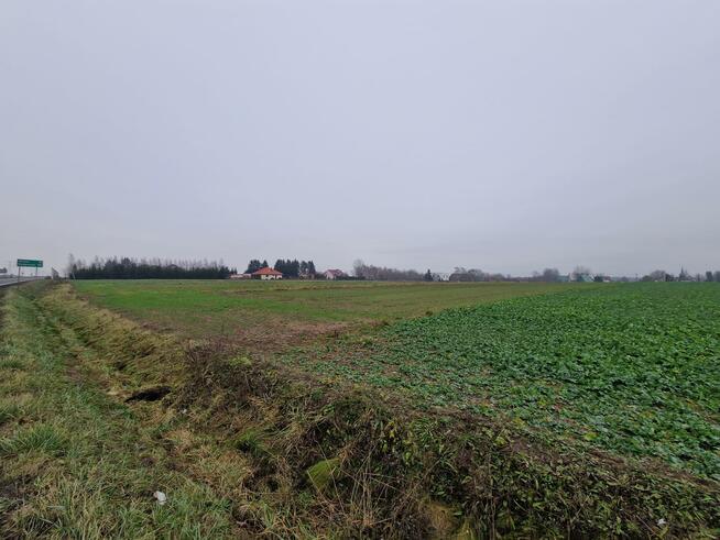 Działka budowlana Ślesin, Cegielniana