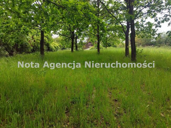 Działka Szczawno-Zdrój