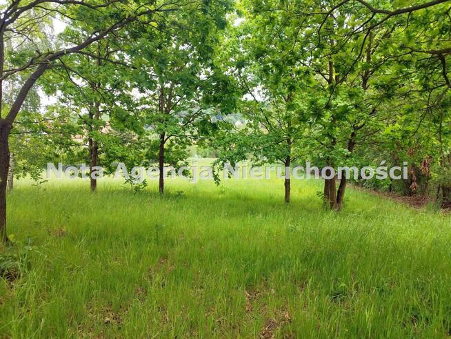 Działka Szczawno-Zdrój