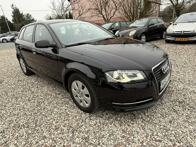 Audi A3 Lift 1.6Tdi 2012r Xenon Led Sportback Alufelgi Hak Climatronic