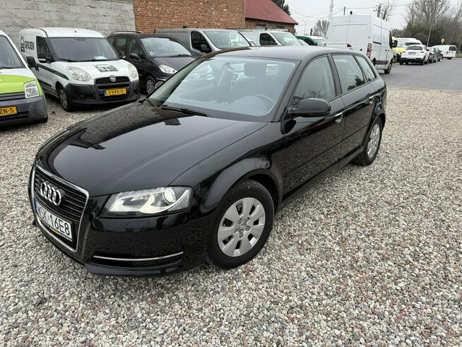 Audi A3 Lift 1.6Tdi 2012r Xenon Led Sportback Alufelgi Hak Climatronic