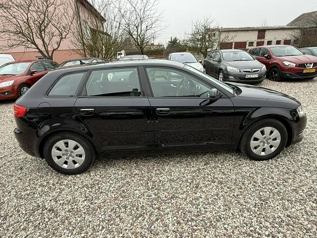 Audi A3 Lift 1.6Tdi 2012r Xenon Led Sportback Alufelgi Hak Climatronic