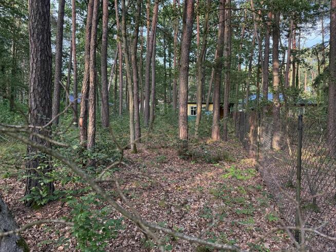 Działka budowlana Sokolniki-Las gm. Ozorków,