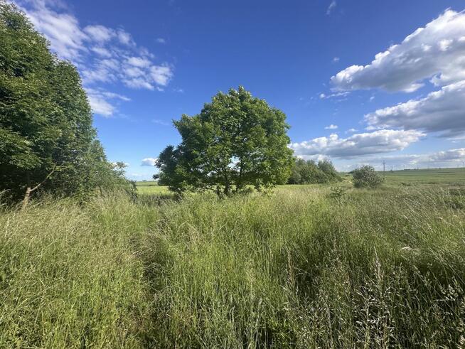 Działka budowlana Rosochata gm. Kunice,