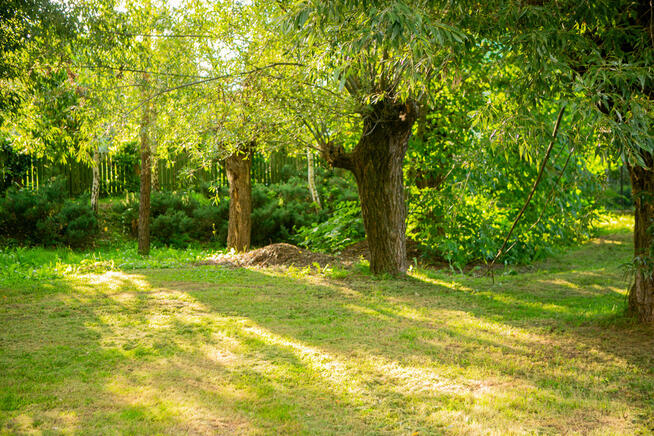 Sprzedam: działka rolno-bud.. Łukanowice Zgłobice