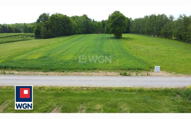 Działka siedliskowa Drzewce-Kolonia gm. Nałęczów, Kolonia Drzewce