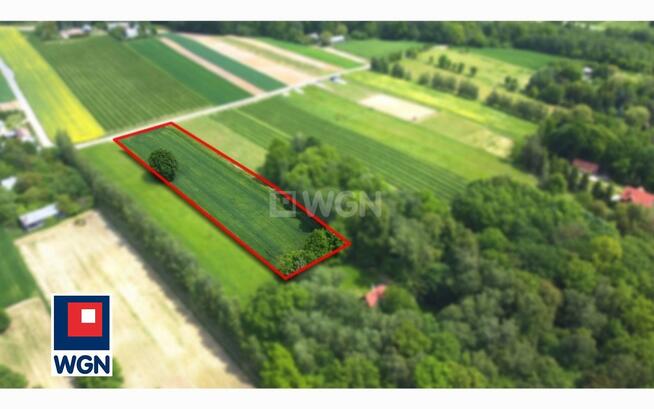 Działka siedliskowa Drzewce-Kolonia gm. Nałęczów, Kolonia Drzewce